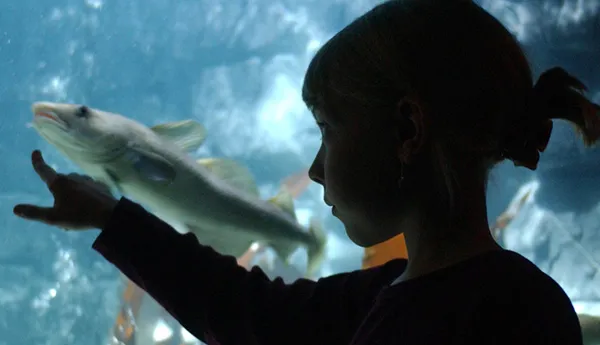 SEA LIFE Berlin Berlin Cluster