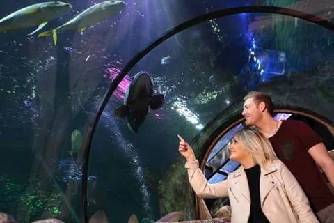 2 Day Blackpool Guide | SEA LIFE AQUARIUM