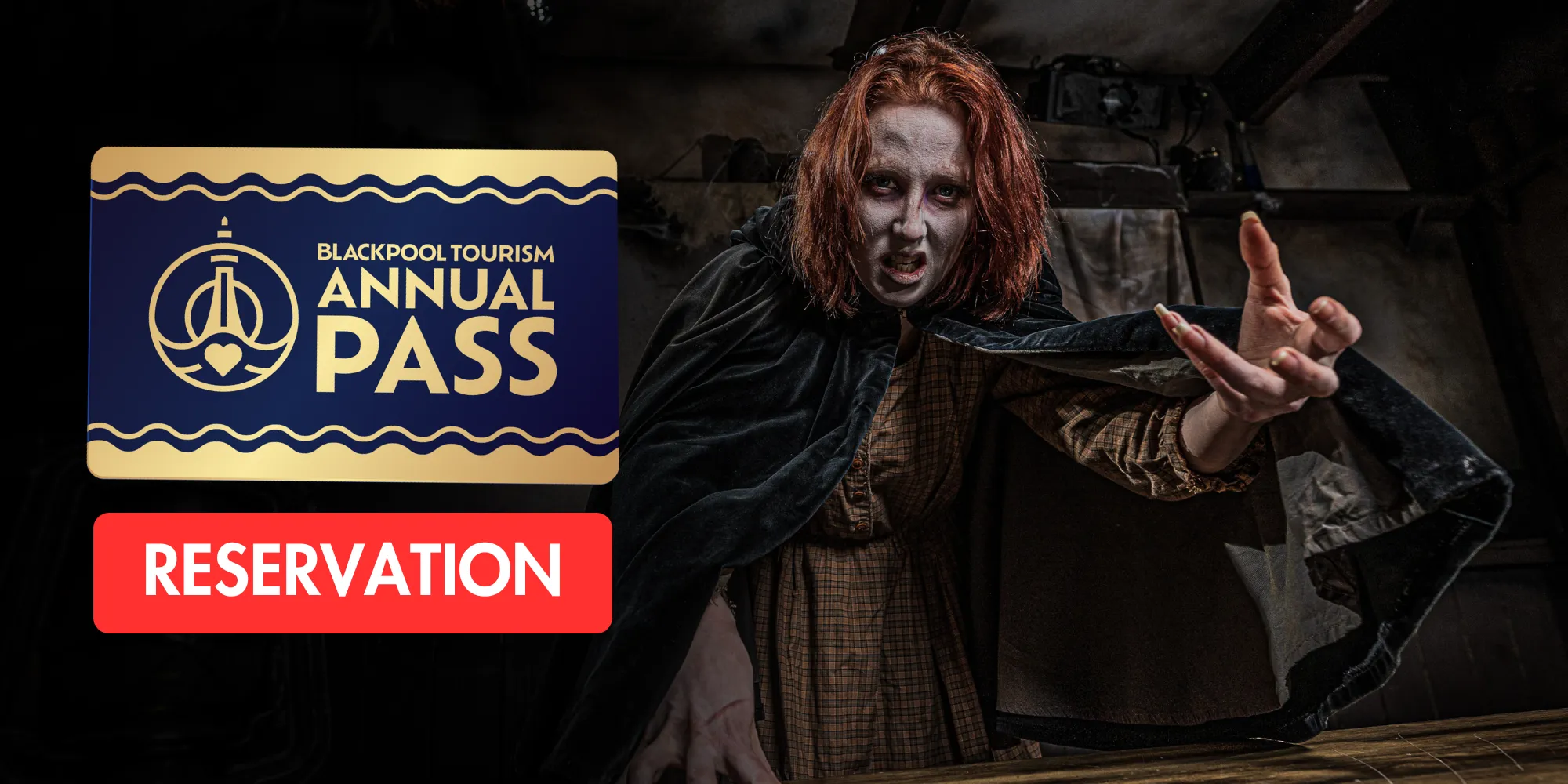 BD Annual Pass Res Ticket Image