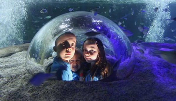Sea Life Blackpool