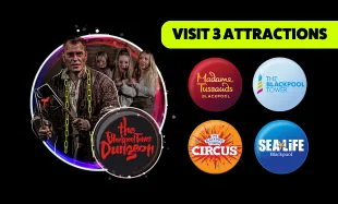 New 3 Attractions