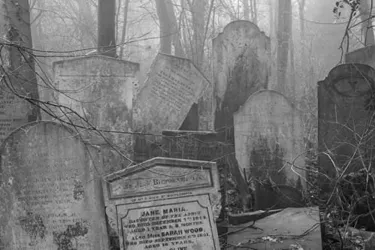 Tower Hamlets Cemetery