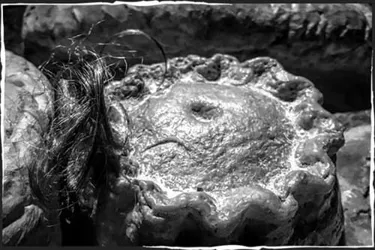 Mrs. Lovett's Meat Pie garnished with hair