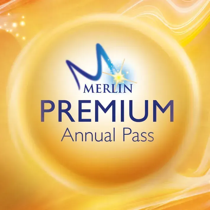 Premium Map Square (1)
