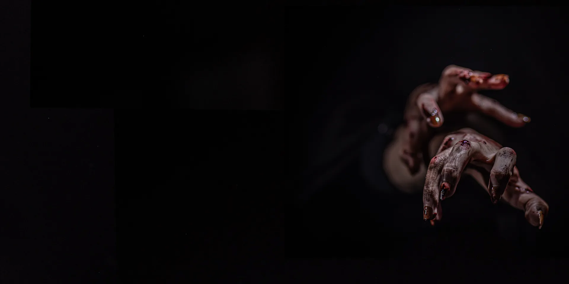Webpage Banner 1920X960 V2