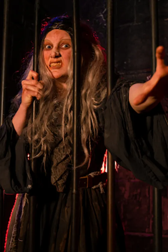 Drop Dead: Drop Ride | The London Dungeon