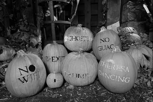 Pumpkins carved with phrases
